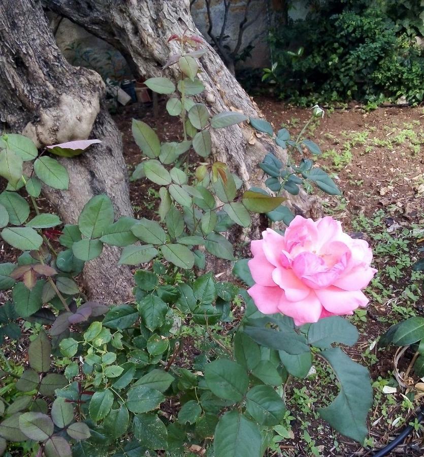 卡里尼Il Giardino Di Hyccara别墅 外观 照片